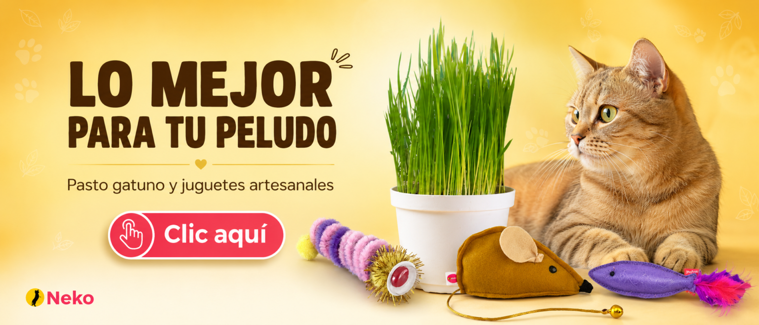 JUEGUETES PARA GATOS